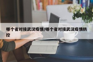 哪个省对接武汉疫情/哪个省对接武汉疫情防控